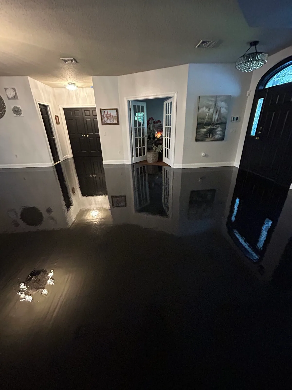High-gloss ebony floor reflecting the room
